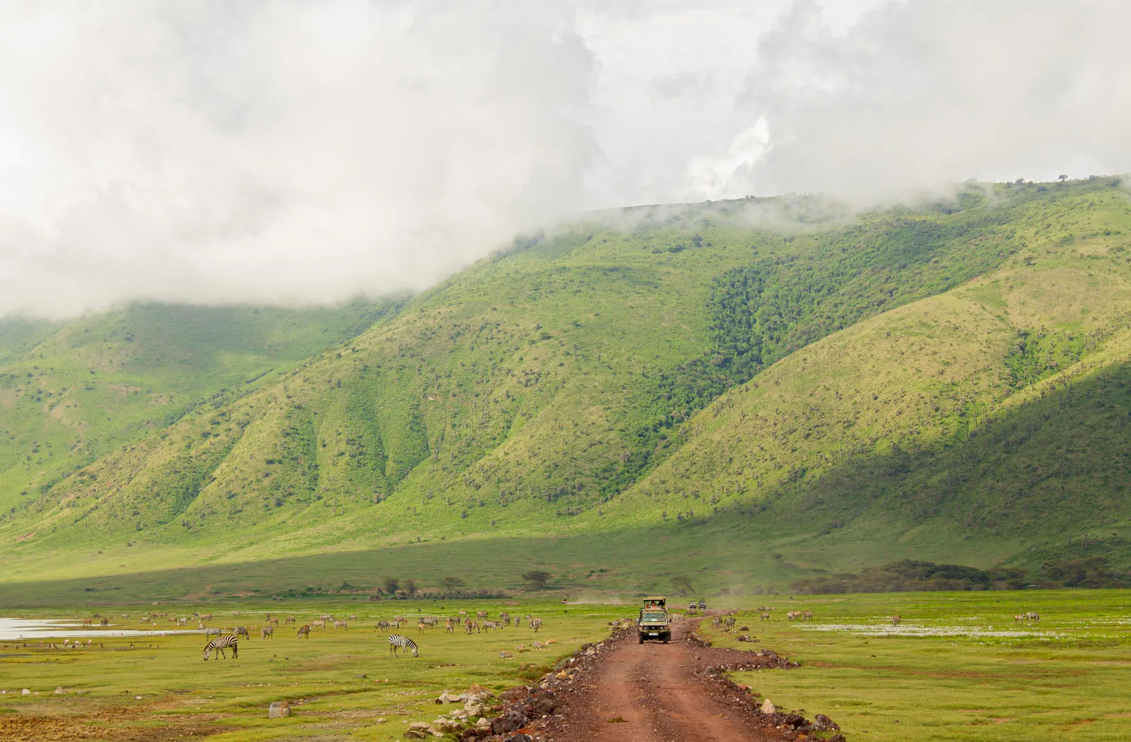 Eden of Africa Safari Tanzania | Manyara, Serengeti & Ngorongoro