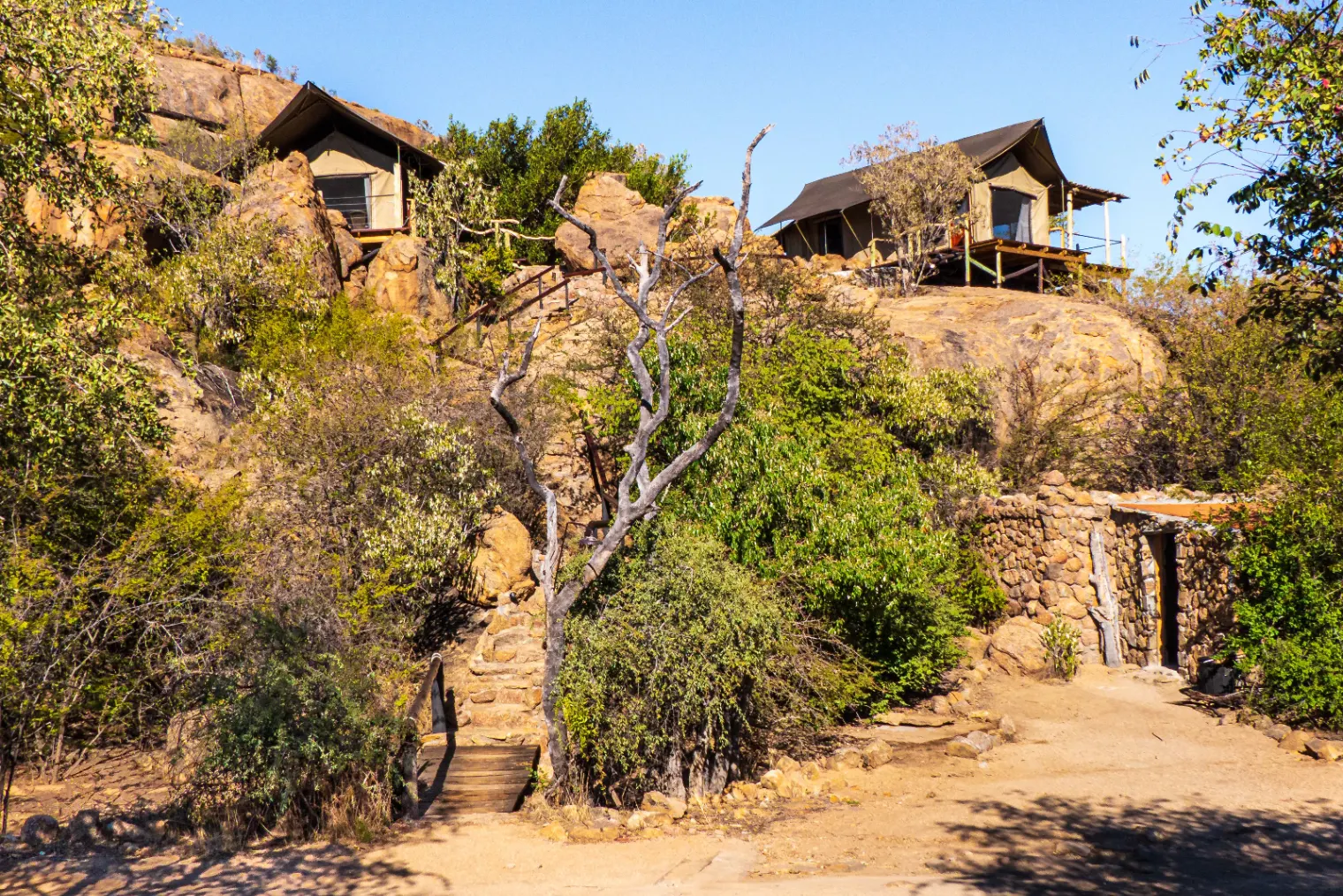 Luxury Extended Mara Safari