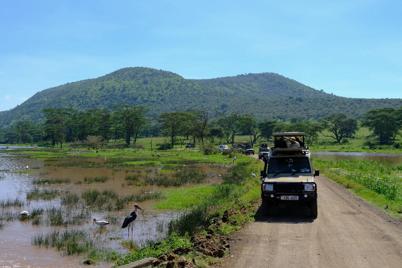 Eden of Africa Safari Tanzania | Manyara, Serengeti & Ngorongoro