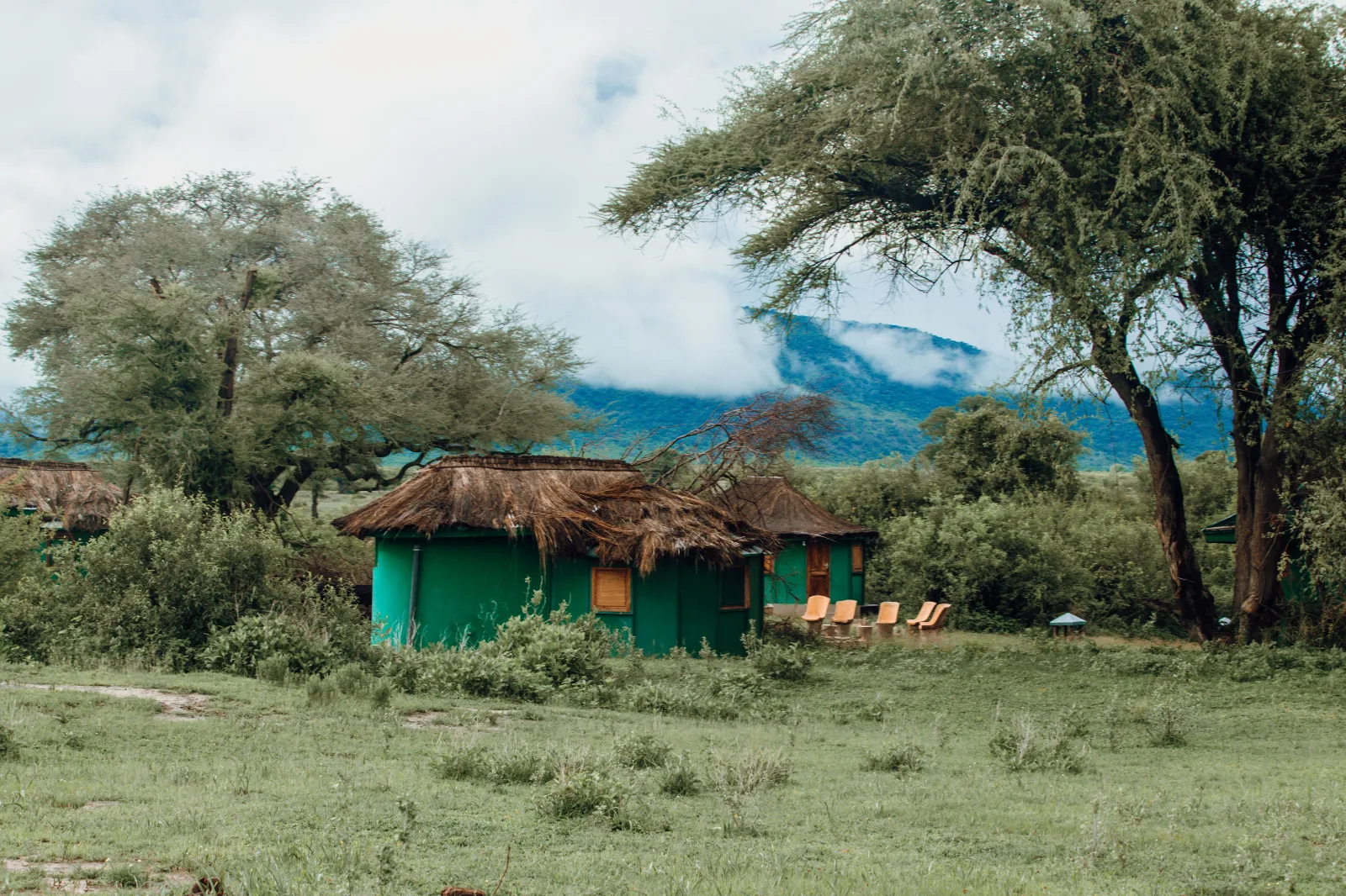 Eden of Africa Safari Tanzania | Manyara, Serengeti & Ngorongoro