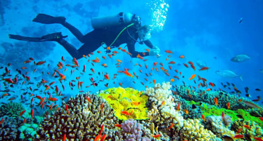 8 Days 7 Nights Andaman & Nicobar Island Escape