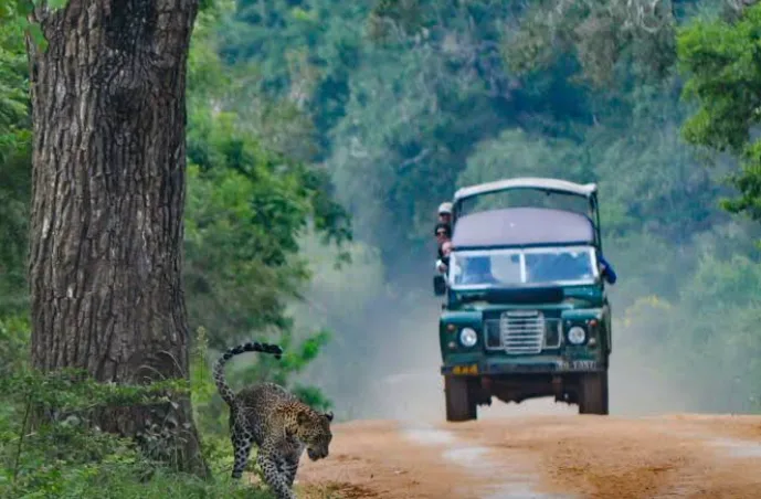 Sri Lanka Coastal Escape – Colombo, Bentota & Galle - 4 Nights / 5 Days