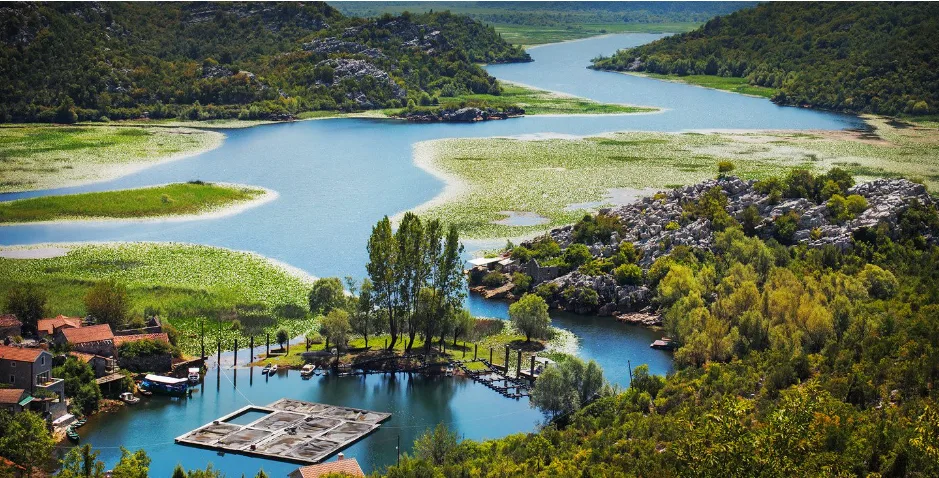 Montenegro Explorer