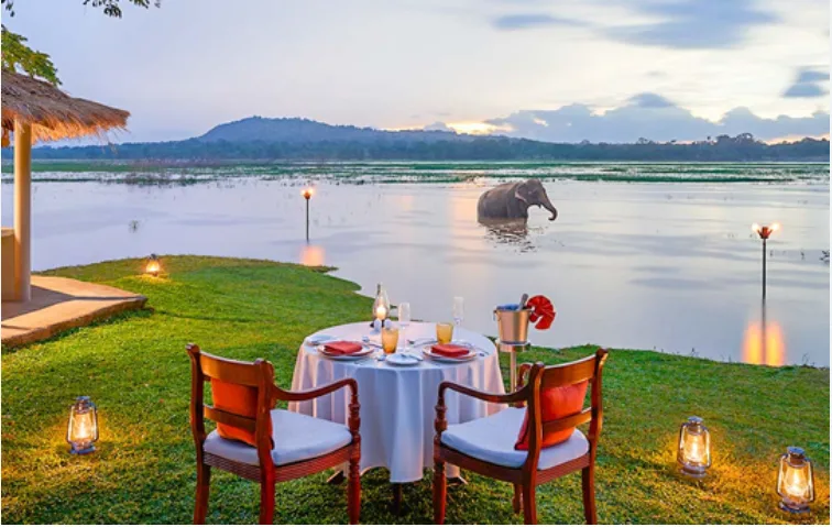 Sri Lanka Coastal Escape – Colombo, Bentota & Galle - 4 Nights / 5 Days