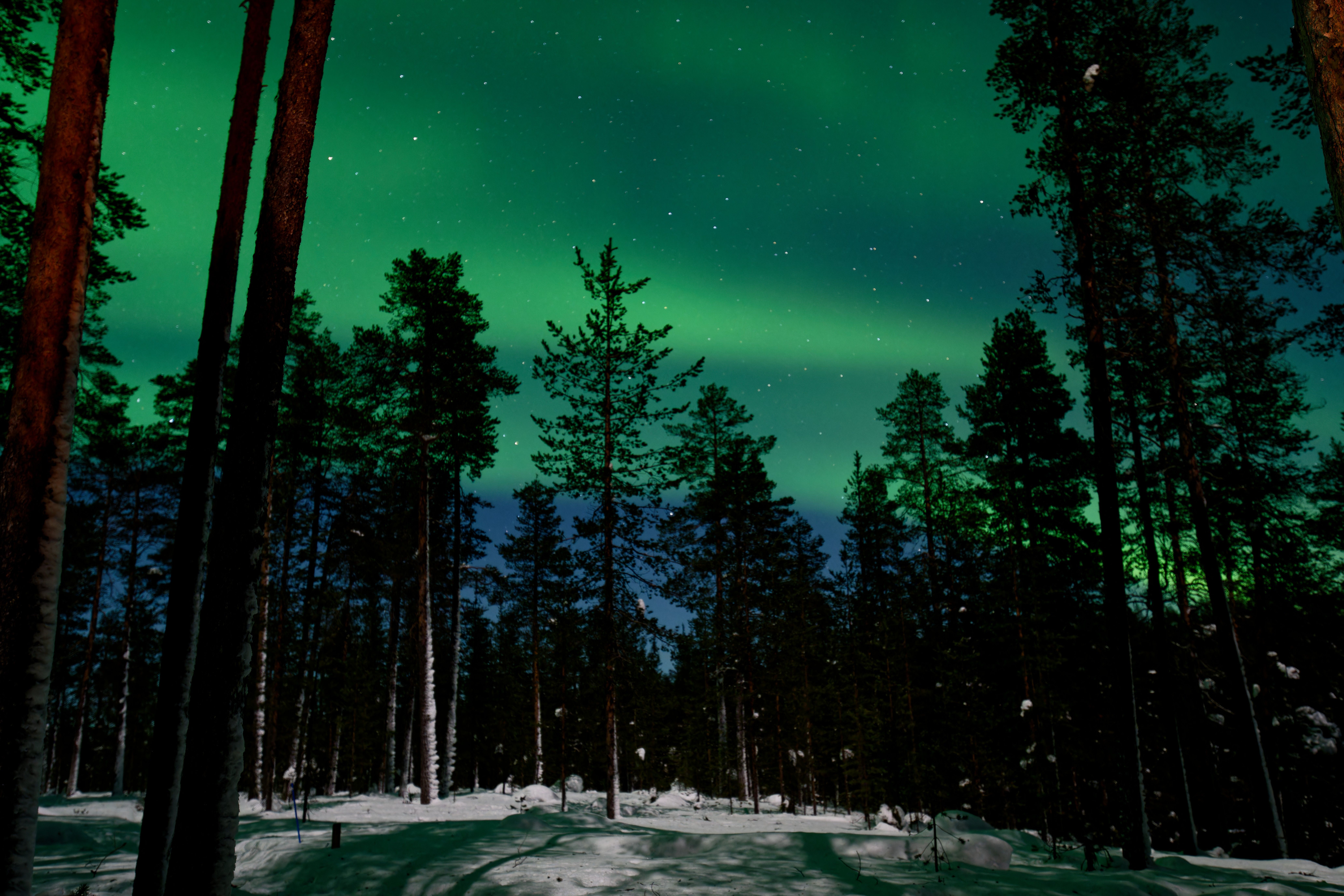 Classic Lapland Adventure
